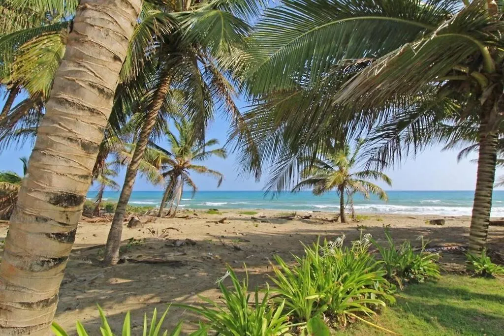 Lejlighed Direct View And Access To Beach! Cabarete Den Dominikanske Republik